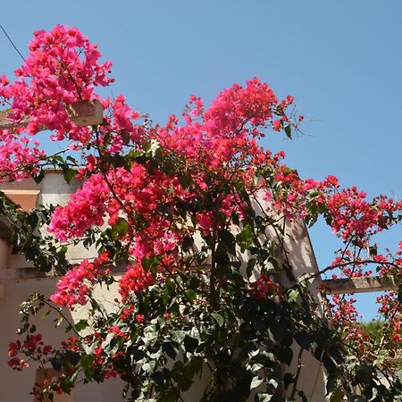 Villa Teti - Sicilia Campofelice Di Roccella Exterior foto
